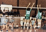 May 1984 Poole Thumpers v Guernsey - SW Champs.jpg